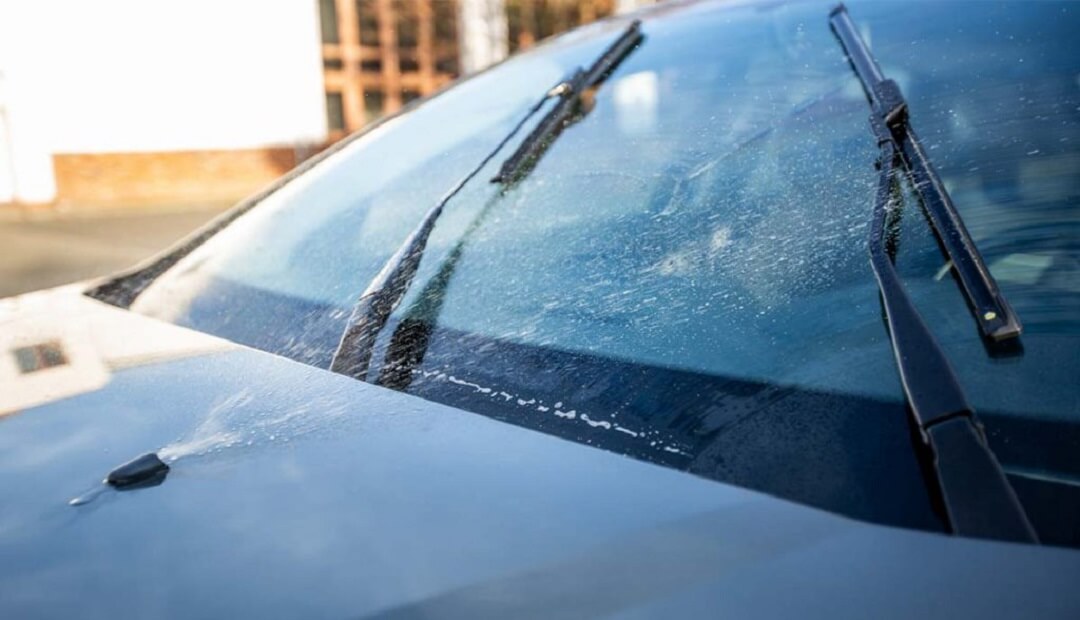 Windshield cleaner